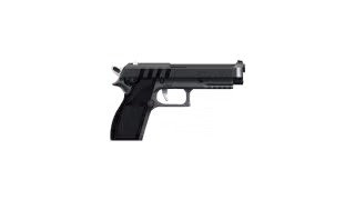 Pistol